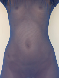 Kara Gray in a Sheer See Through Dress